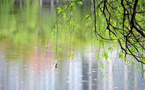 雨中的守护者 —— 环城智慧在雨季的应用实践